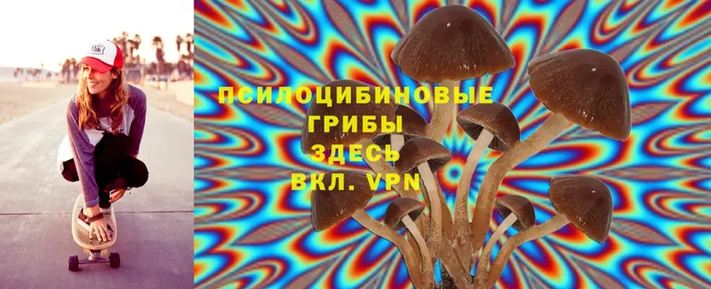 Галлюциногенные грибы Psilocybe  цены   Нефтеюганск 